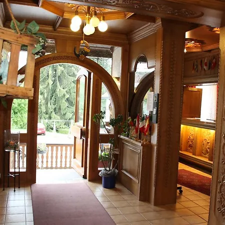 Rebstock Schonach im Schwarzwald