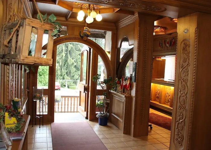 Rebstock Schonach im Schwarzwald